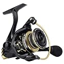 KastKing Valiant Eagle Spinning Reels, Black Gold Fishing Reel, Size 3000