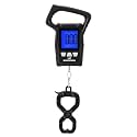 KastKing WideView Fish Scale, Floating Waterproof Digital Scale