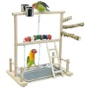 kathson Bird Play Stand Parrot Perch Stand Natural Wood Bird Playground Playstand for Cockatiel Conures Parakeet Parrots Budgie Lovebird Finch Small Birds