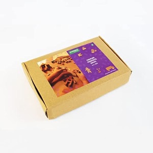 deluxe diy gift pack - miniature terracotta bricks reddish brown bricks 138 nos educational building toys for kids birthday gifts dioramas terrariums model making