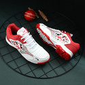 KATTOS Cricket Shoes For Men