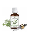 KAYAYURVEDA Rosemary Essential Oil - 100% Pure Therapeutic Grade Rosemary Oil (30 ml)