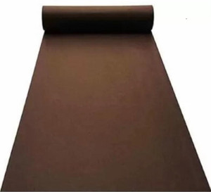 KAYNAT CARPET 5 ft X 30.1 ft