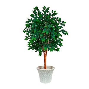 kayra decor 3 feet artificial sakaki tree in natural trunk - artificial plants for home decor big size with pot and marble chips green 1 piece