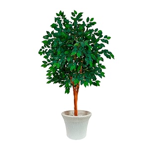 kayra decor 5 feet artificial sakaki tree in natural trunk - artificial plants for home decor big size with pot and marble chips green 1 piece