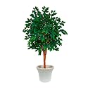 Kayra Decor 6 Feet Artificial Sakaki Tree in Natural Trunk - Artificial Plants for Home Decor Big Size with Pot and Marble Chips (Green, 1 Piece)