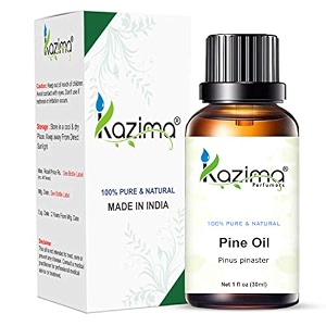 kazima pine essential oil - 100 pure natural amp undiluted oil for skin care amp hair care 30 ml