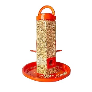 kbv bird feeder for birds parrots for home balcony ofice window garden terrace orange