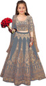 Kedar Fab Girls Lehenga Choli Ethnic Wear Embroidered Lehenga, Choli and Dupatta Set (Grey, Pack of 1)