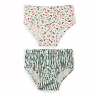 Keebee - Organic Cotton Printed Boys Briefs