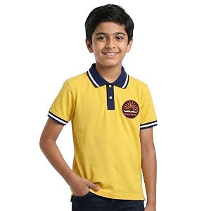 kendra vidyalaya t-shirt  house dress  3-17 yrs  school uniform