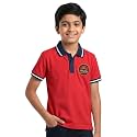 Kendra Vidyalaya T-Shirt | House Dress | 3-17 YRS | School Uniform