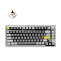 Keychron Q1 RGB Wired Custom Mechanical Keyboard Knob Version, 75% Layout QMK/VIA Programmable with Hot-swappable Gateron G Pro Brown Switch Double Gasket Compatible with Mac Windows Linux (Grey)