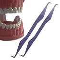 Keyfit Tools PerfectPick Gum Line Tooth Picks Flosser Dental Scraper (2 Pack) Reusable & Double Sided ~Not Small Floss Picks ~ Non Matalic ABS ~Scrape Along Gum Line & Between Teeth Remove Plaque