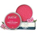 Pureus Herbals Madhuadhar Rose Lip Scrub for Lightening, Brightening | Natural Lip Brightening Scrub for Exfoliate Smoked Lips | Women & Men (10 gm)