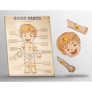 wooden puzzle with knobs educational and learning toy for kids human body parts