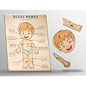 Wooden Puzzle with Knobs Educational and Learning Toy for Kids (Human Body Parts)