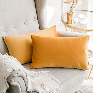 Khooti Velvet Cushion Cover 18 x 28