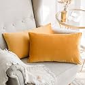 Khooti Rectangular Velvet Cushion Cover 12x20 