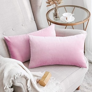 Khooti Rectangular Velvet Cushion Cover 12x24