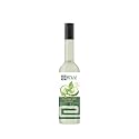 Khuvi Organics Cucumber Mint Sharbat (Khira Kakdi Pudina) 500ml | Natural Cooling Summer Drink Concentrate | Refreshing Hydrating Sharbat for Daily Use