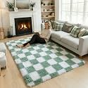 KICMOR 4x6 Rug for Bedroom Living Room
