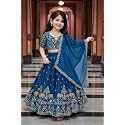 Kids Chiffon Lehenga Choli Embroidered Elephant and