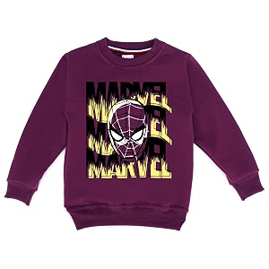 Kids Graphic Print Woolen Sweatshirts with Round