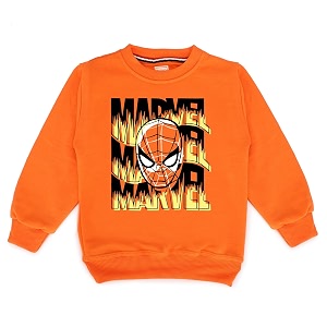 Kids Graphic Print Woolen Sweatshirts with Round