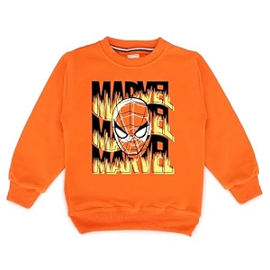 Kids Graphic Print Woolen Sweatshirts with Round