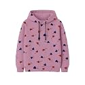 Kids Hoodie Sweatshirt Soft Cotton Hooded