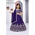 Kids Lehenga Choli with Elephant Embroidery