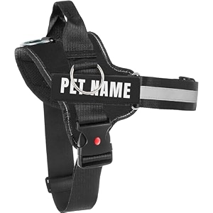 kika pets personalized dog harness  dog harness with name  customized dog vest harness extra small size for below 5 kgs dogs midnight black harness