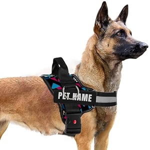 kika pets personalized dog harness with namecustomized dog vestextra large for 36 kgs and above retro spice-red blue
