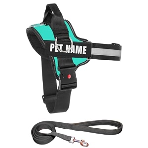 kika pets personalized dog harness  dog harness with name  customized dog vest harness small size for 5-12 kg dogs sea green with padded leash