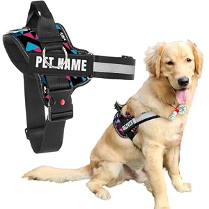 kika pets personalized dog harnessdog harness with namecustomized dog vest harness large size for 21-35 kilograms dogs multicolor