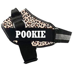 kika pets no pull dog harness with name  personalised dog harness for small dogs  customized dog vest harness extra small size for below 5 kgs dogs leopard print harness
