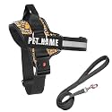 KIKA Pets Personalized Dog Harness | Dog Harness with Name | Customized Dog Vest Harness, Extra Small Size (for Below 5 kgs Dogs) Minion with Padded Leash