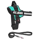 KIKA Pets Personalized Dog Harness | Dog Harness with Name | Customized Dog Vest Harness, Extra Large Size (for Above 36 kg Dogs) Sea Green with Padded Leash