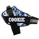 KIKA Pets Personalized Dog Harness | Dog Harness with Name | Customized Dog Vest Harness, Large Size (for 21-35 kgs) Cherry Red with Padded Leash