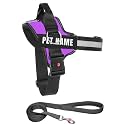 KIKA Pets Personalized Dog Harness | Dog Harness with Name | Customized Dog Vest Harness, Medium Size (for 13-20 kgs) Purple with Padded Leash