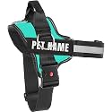 KIKA Pets Personalized Dog Harness | Dog Harness with Name | Customized Dog Vest Harness, Medium Size (for 13-20 kgs) Sea Green