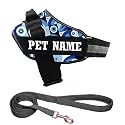KIKA Pets Personalized Dog Harness with Name for Dogs | Customized Dog Vest Harness, Large Size (for 21-35 kgs) Evil Eye with Padded Leash