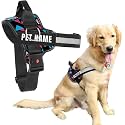 KIKA Pets Personalized Dog Harness|Dog Harness With Name|Customized Dog Vest Harness, Large Size (For 21-35 Kilograms Dogs), Multicolor