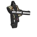 KIKA Kika Pets Personalized Dog Harness|Dog Harness With Name|Customized Dog Vest Harness,Extra Large Size (For Above 36 Kg Dogs) Tiger,Multicolor