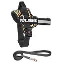 KIKA Pets Personalized Dog Harness | Dog Harness with Name | Customized Dog Vest Harness, Small Size (for 5-12 kg Dogs) Tiger with Padded Leash