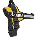 KIKA Pets Personalized Dog Harness | Dog Harness with Name | Customized Dog Vest Harness, Medium Size (for 13-20 kgs) Yellow