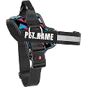 KIKA Pets Personalized Dog Harness | Dog Harness With Name | Customized Dog Vest Harness, Medium Size (For 13-20 Kgs Dogs), Multicolor