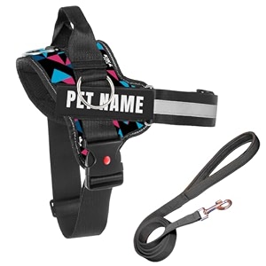 kika pets personalized dog harness with leash padded  dog harness with name  customized dog vest harness large size for 21-35 kgs