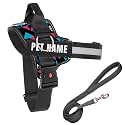 KIKA Pets Personalized Dog Harness with Leash Padded | Dog Harness with Name | Customized Dog Vest Harness, Small Size (for 5-12 kg Dogs)